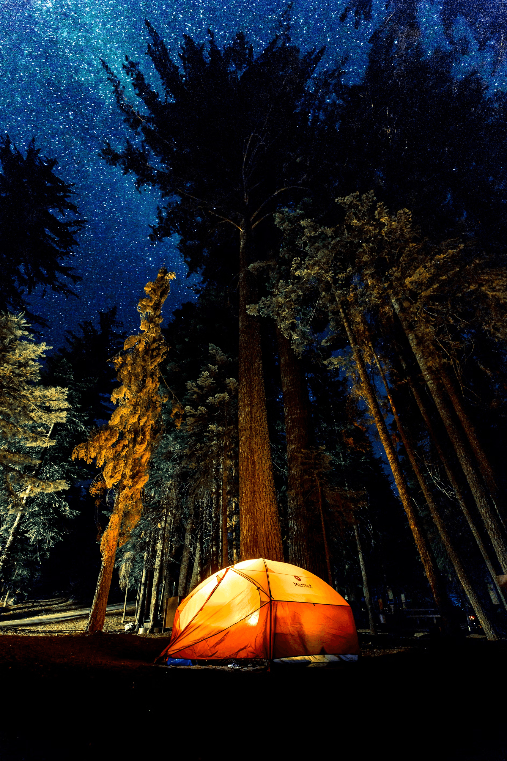 Camping Gear Rental in Jordan River with VIBE