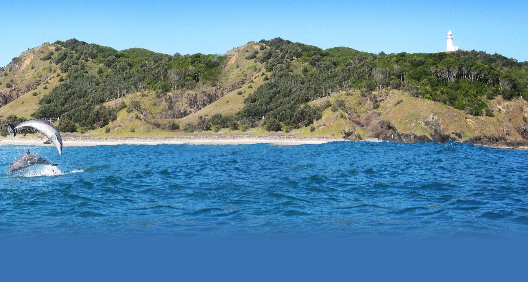 Coastal waters with dolphin breach near rocky headland, Byron