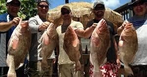 Group holding multiple grouper catches at dockside tropical fishing charter