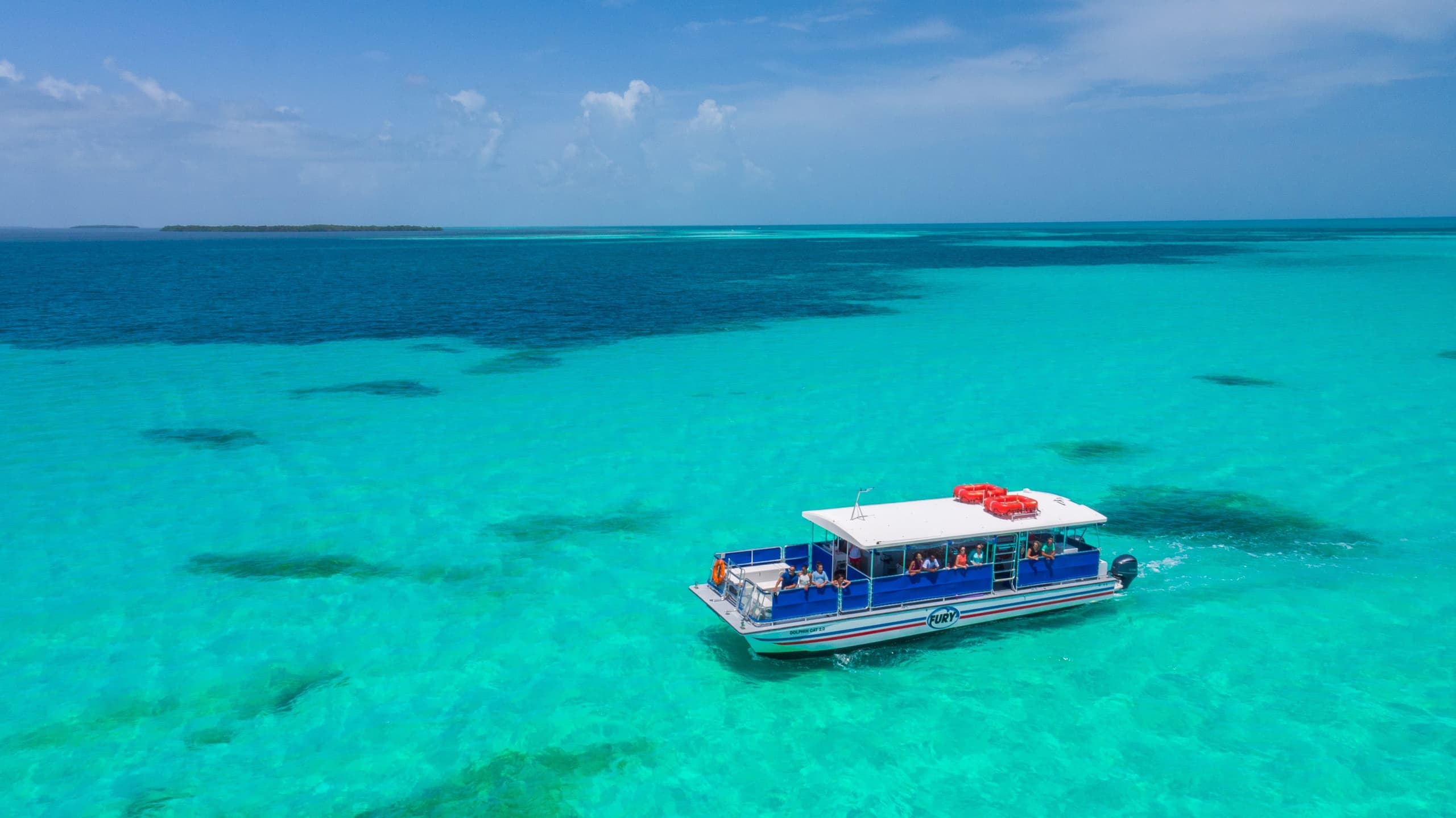 from Miami: Key West Tour & Dolphin Watch Tour