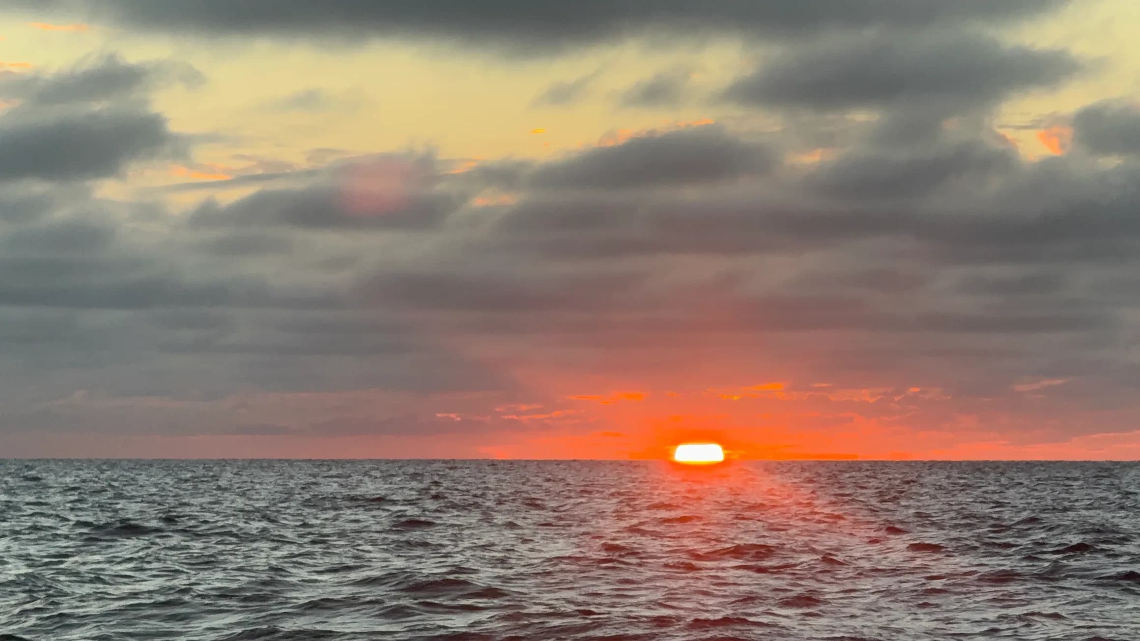 Frisco Six-Hour Private Charter: Reef, Bluewater & Backcountry Fishing