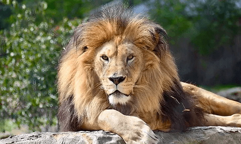 Explore Keystone Safari Walk-Thru in Grove City, PA