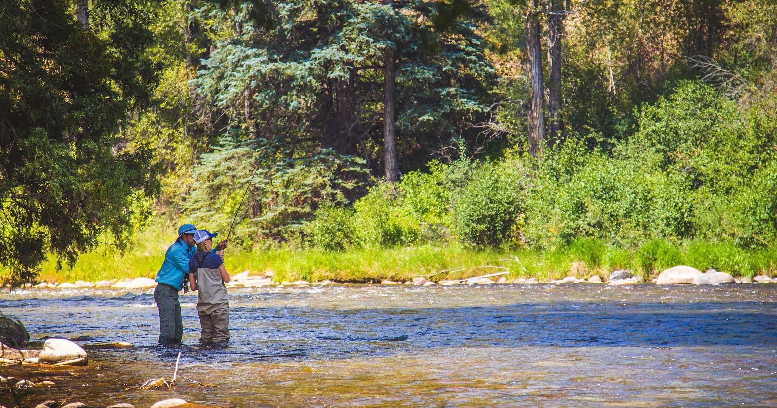 Fly fishers wading in mountain river with forested banks