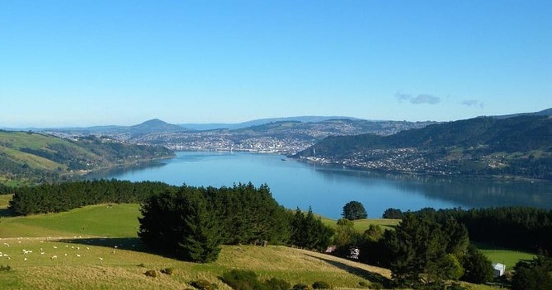 Scenic coastal bay and rolling hills viewed from a grassy hillside