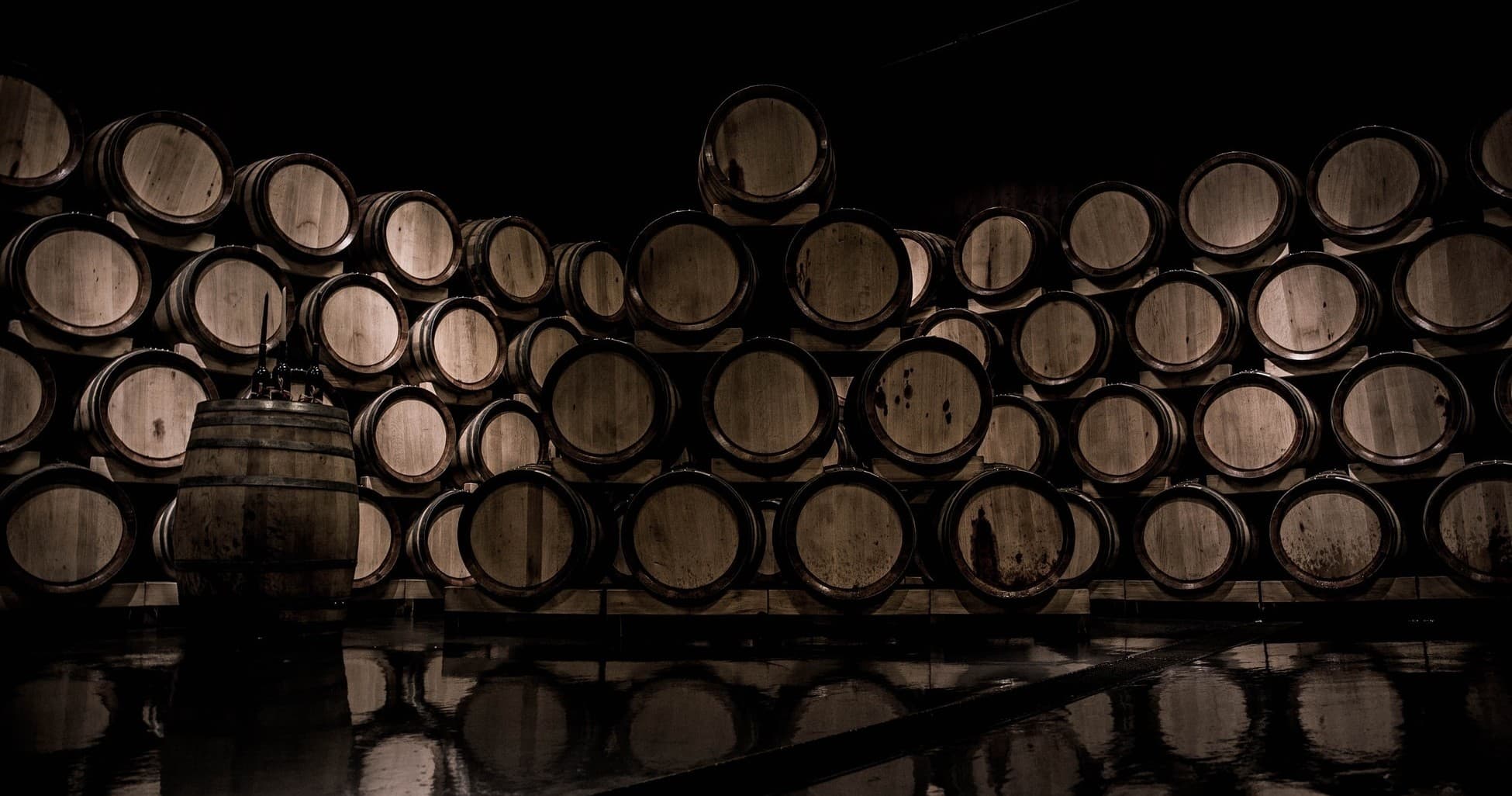 Wine Tasting & Scenic Views with Rotas do Sal in Setúbal