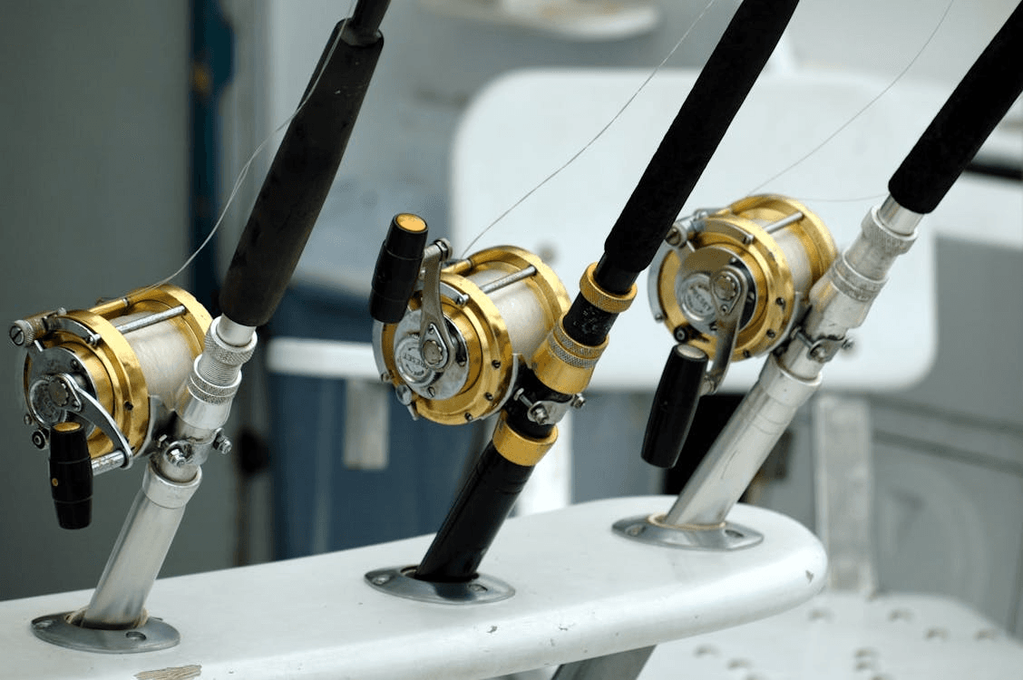 Montauk Private Fishing Charter: Reel in Striped Bass and Sunrise Views Aboard a Classic 41-Foot Hatteras