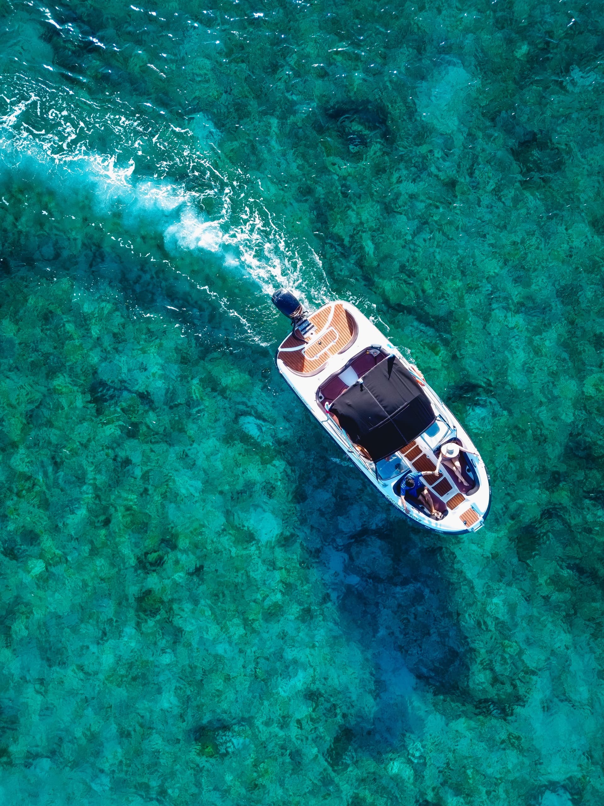 El Cielo Private Experience: 4-Hour Private Boat to Cozumel’s Starfish Sandbar