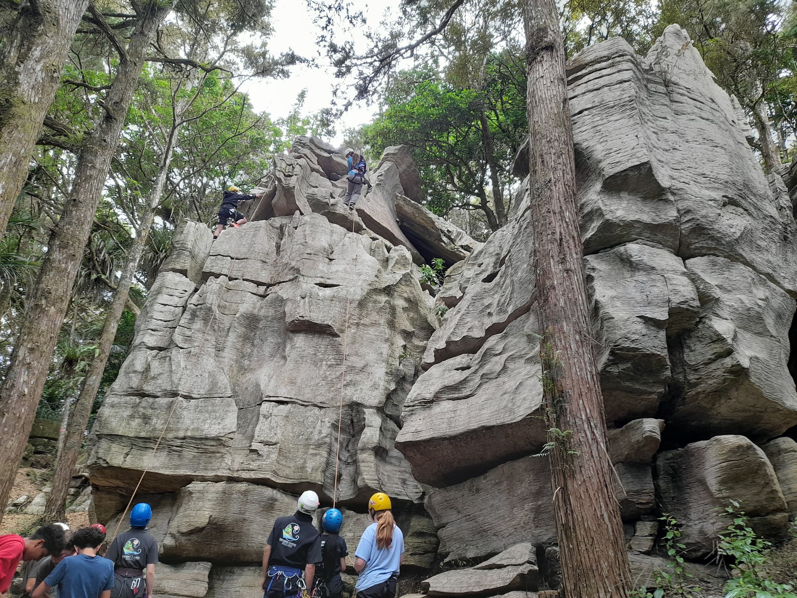 School Group Adventures at Waipu Caves Farm Park