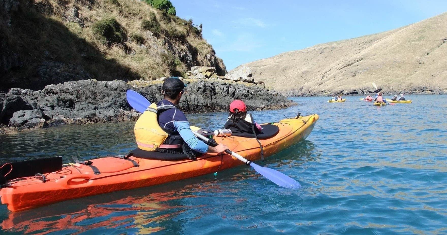 4WD Sea-Kayaking Adventure with Pohatu Penguins
