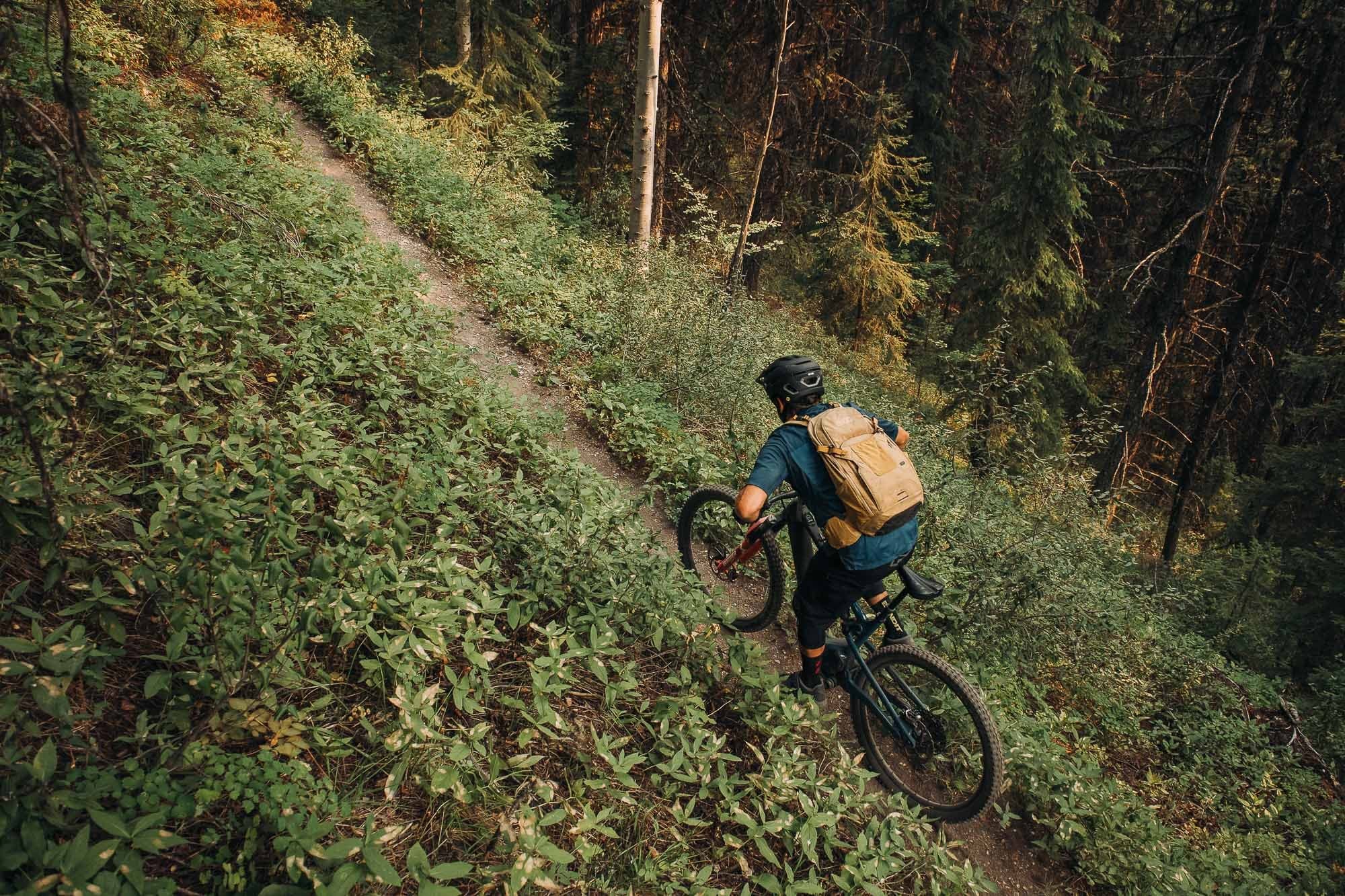 E-Bike Adventure at Elevation Mountain Bikes