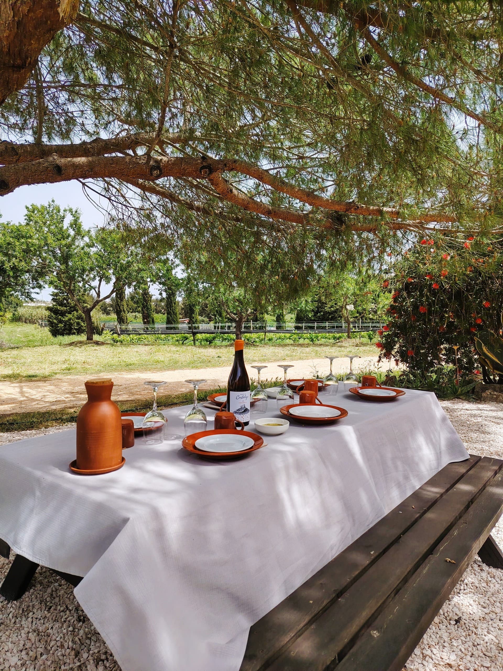 Terrace Wine Tasting at Monte da Casteleja: Organic Algarve Wines & Olive Pairings Near Lagos photo 2