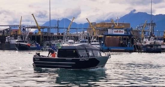 Ultimate 8-Hour Fishing Adventure in Homer, Alaska: Target Halibut, Salmon & More