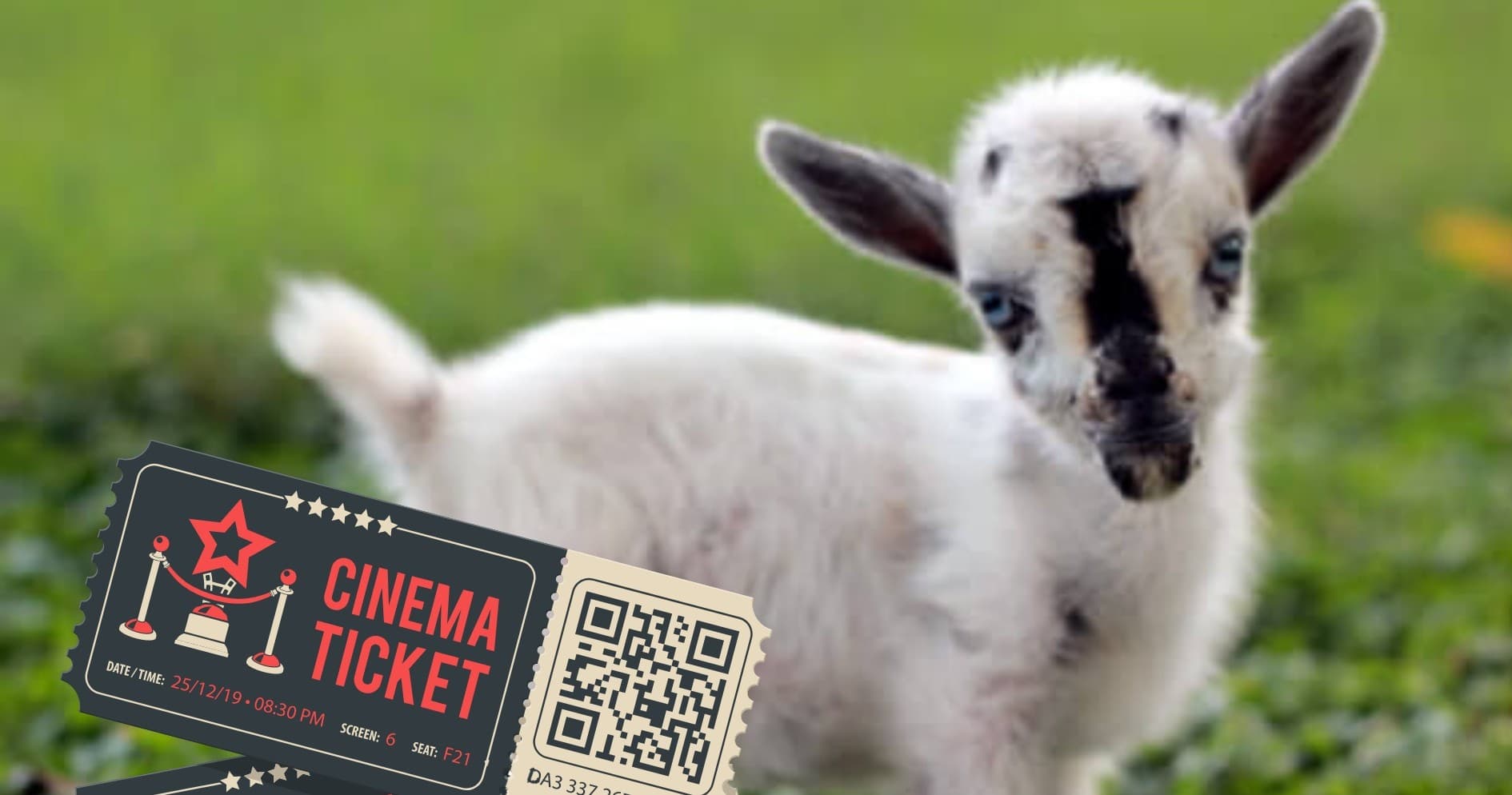 Movie Night with Goats in Brookshire, Texas