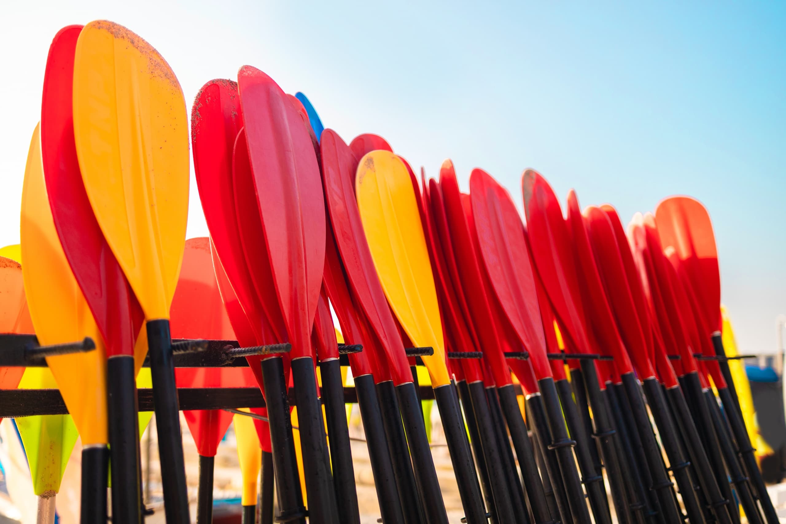 Private Paddle Rentals in Calgary for Group Rafting Fun