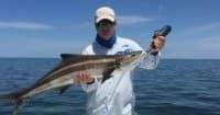 Full-Day Offshore Fishing for Snapper, Cobia & Hogfish in Crystal River