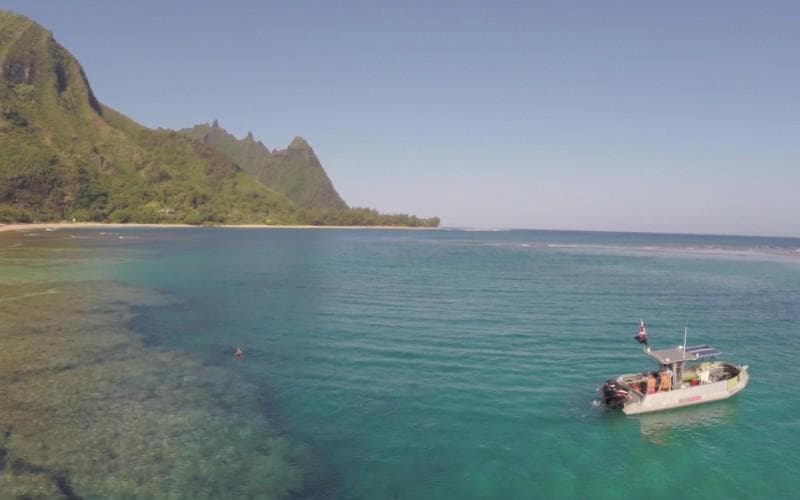 Coastal boat tour off tropical Kauai shore, panoramic view