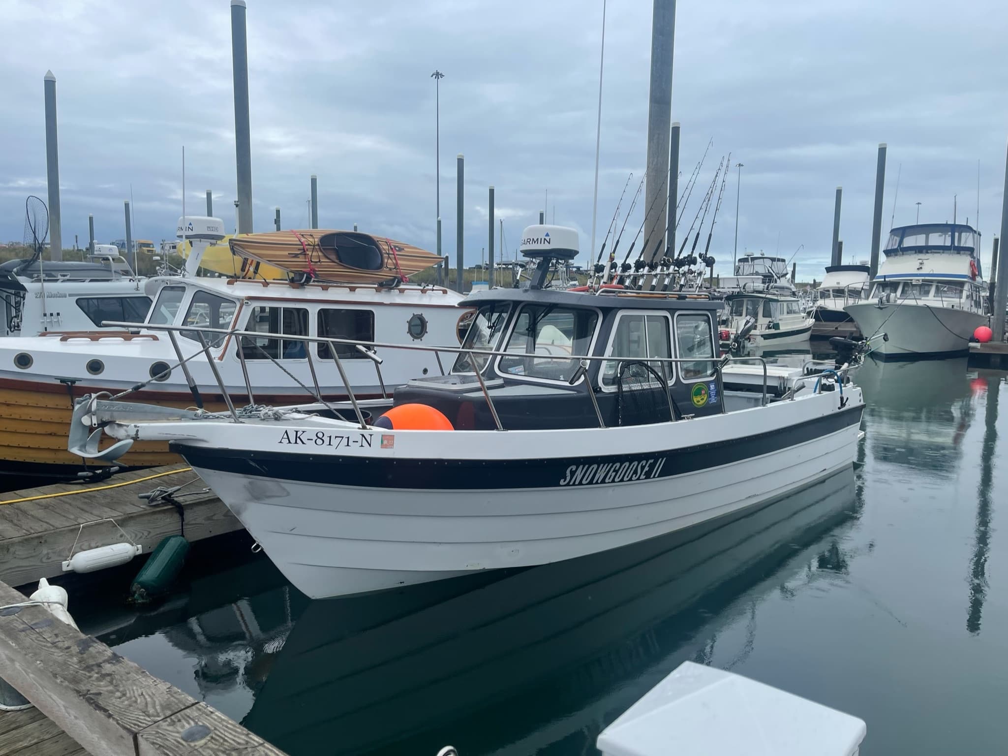 Halibut Fishing Adventure in Homer, Alaska