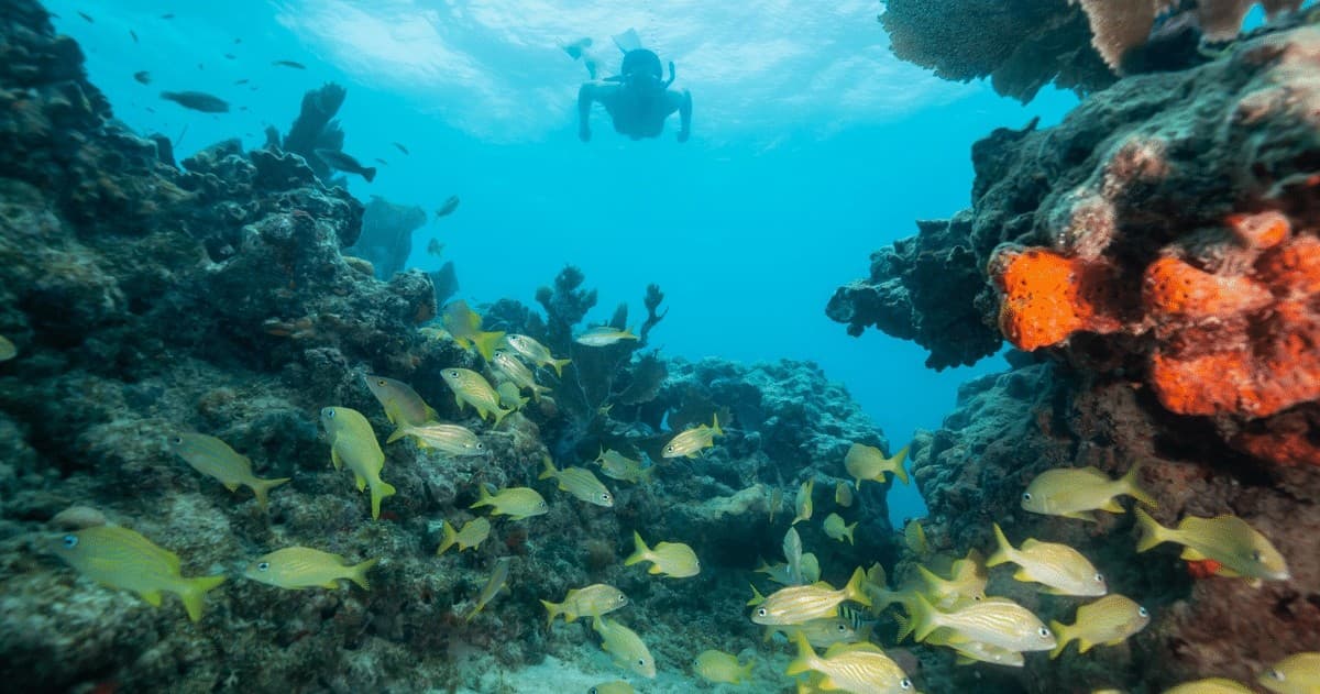 Water Activities & Dive Adventures at Mac's Sports in Florida