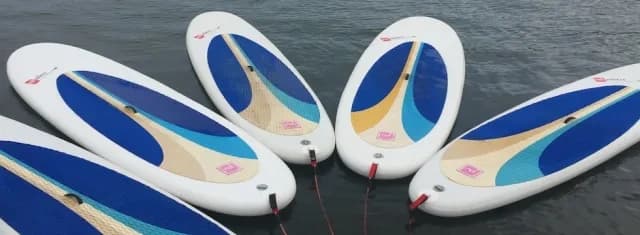 Paddle Board Hire on the River with Dittisham Boat Hire