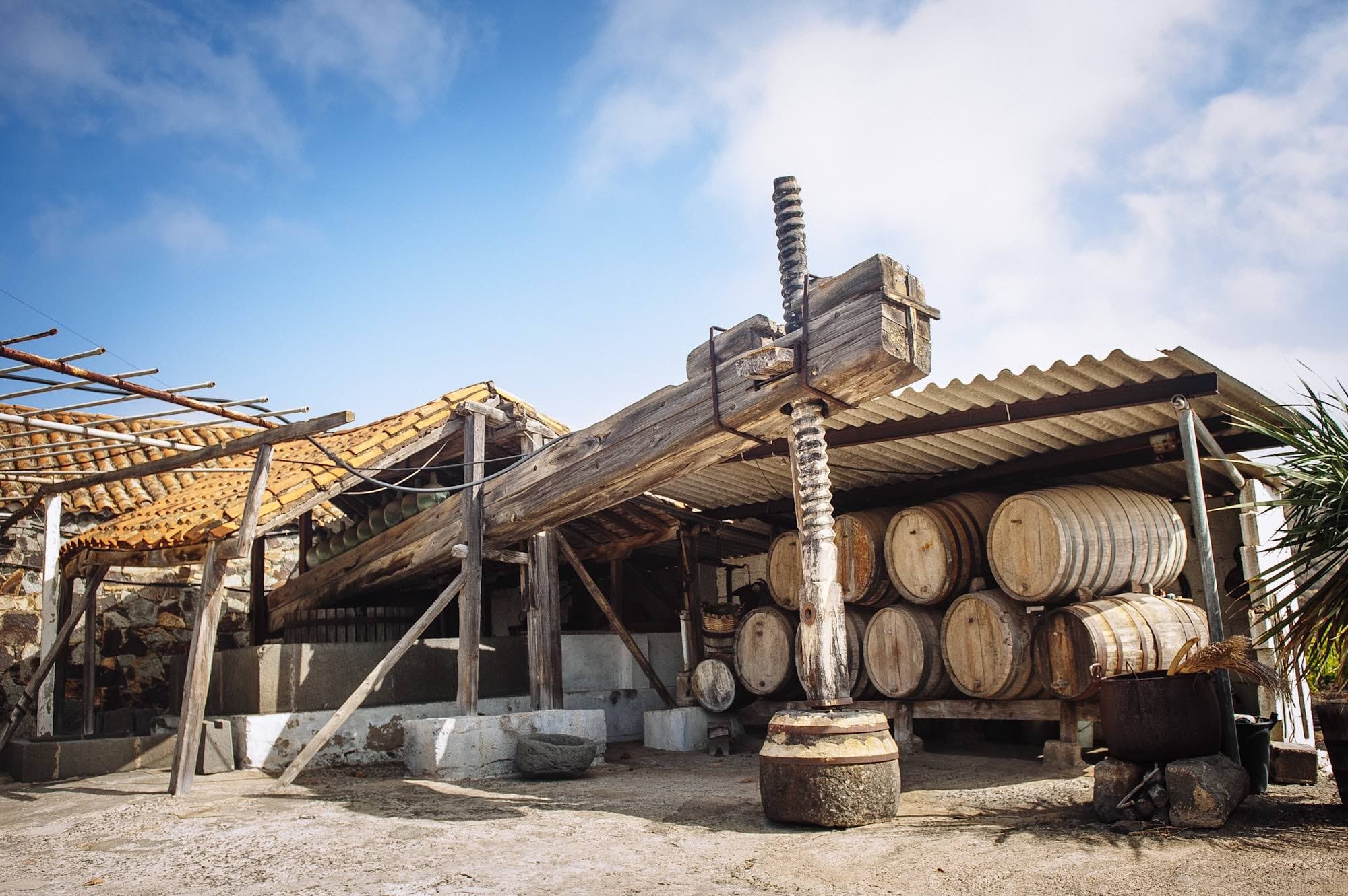 Land-Adventures: Volcano Wine Tasting with Handmade Tours in Gran Canaria