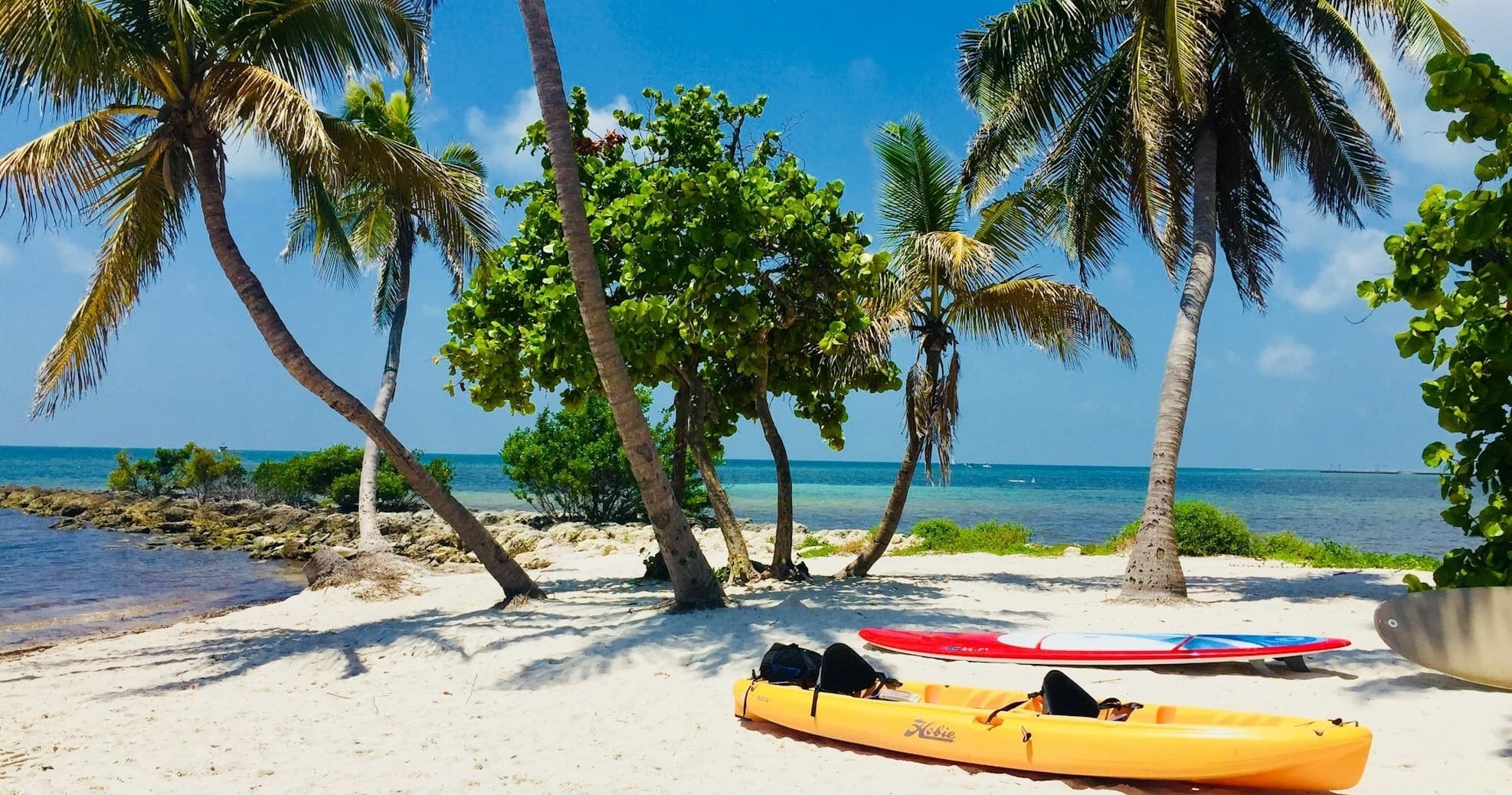 Boat Charters & Water Activities at Epic Boat Rentals in Key West