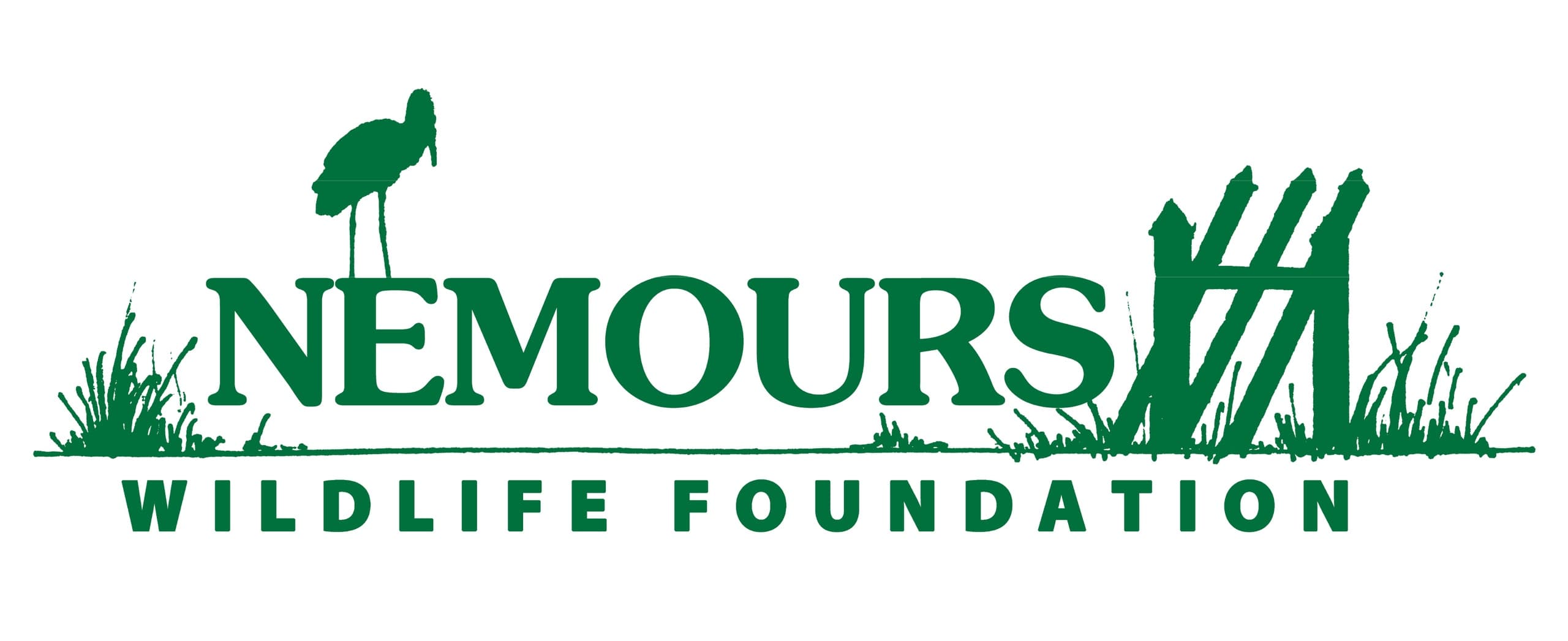 Wildlife & Birding Tour at Nemours Foundation in Beaufort
