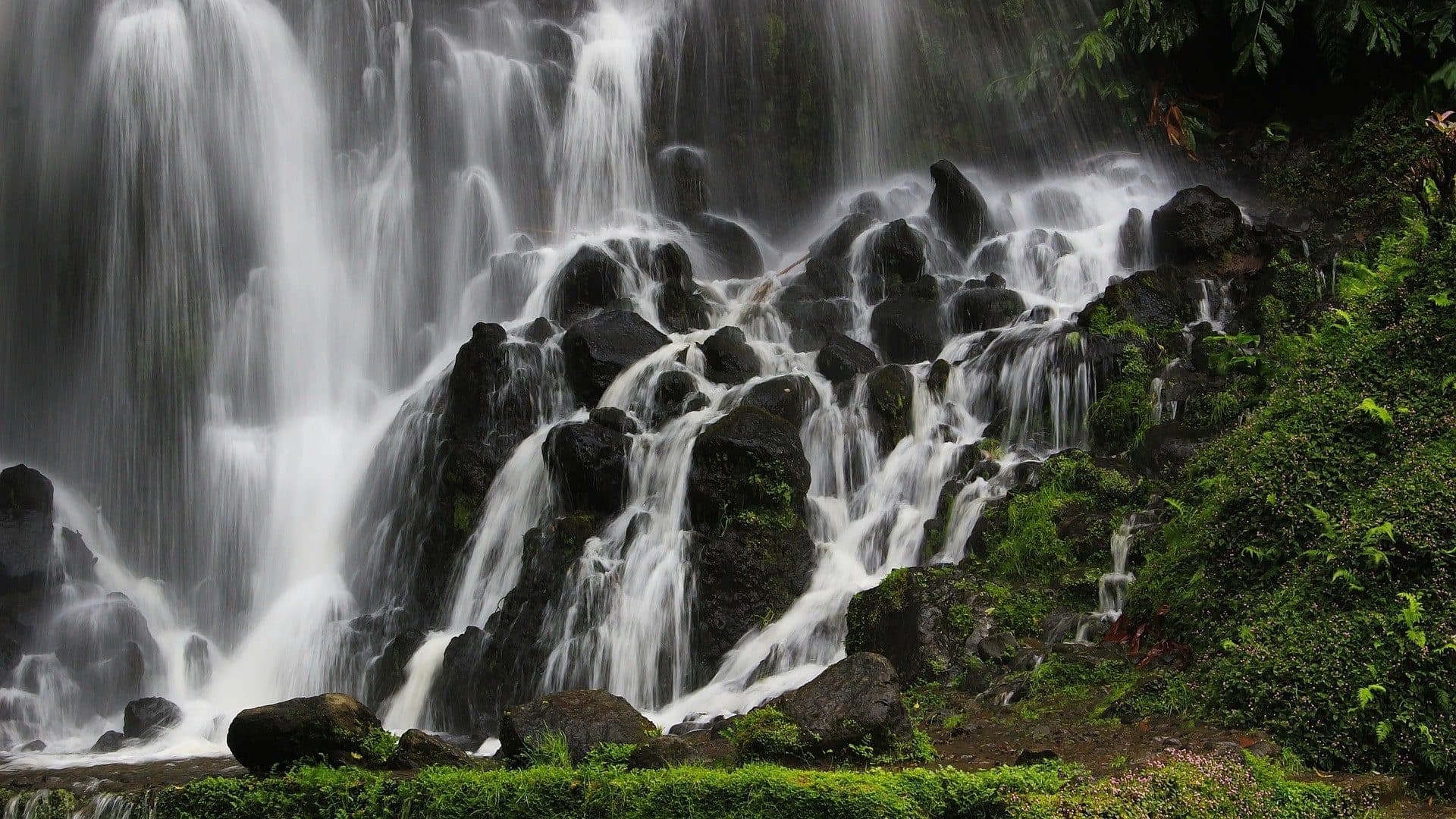 Land Adventures: Nordeste Day Tour in São Miguel