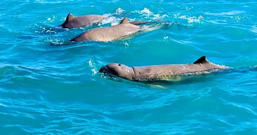 Broome Adventure Cruises team