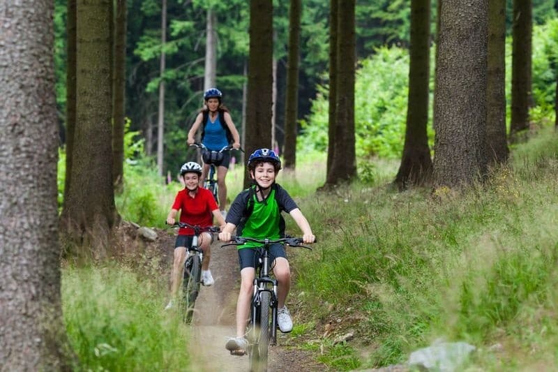 Loch Lomond by Bike: Balloch to Tarbet 4-Hour Guided Ride photo 4