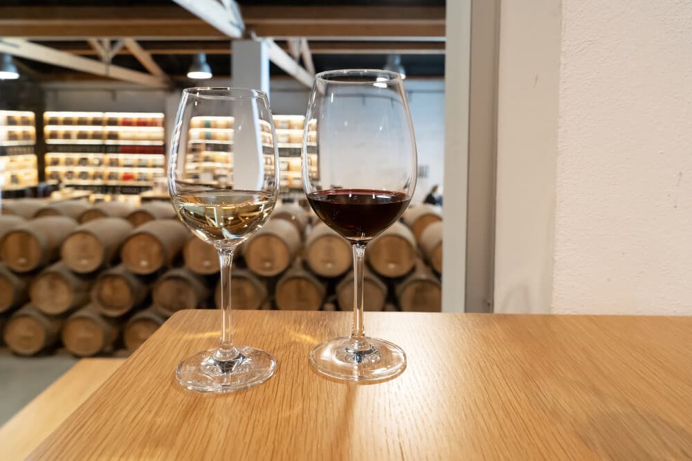 Be the Winemaker in Évora: Enólogo por 1 Dia — Bottle, Label & Explore Alentejo