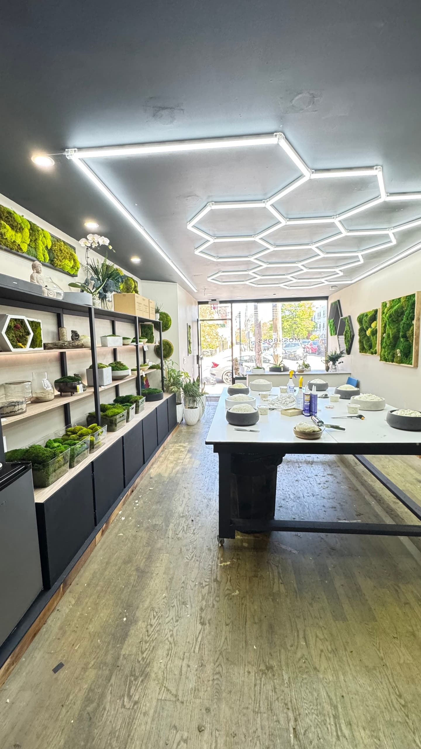 Craft Moss Bowls with MossBoss in Brooklyn, NY