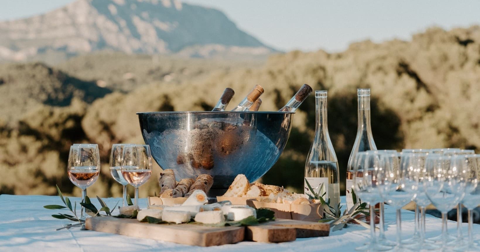 Savoring Provence: Wine, Goat Cheese & Vineyard Tours Near Aix-en-Provence