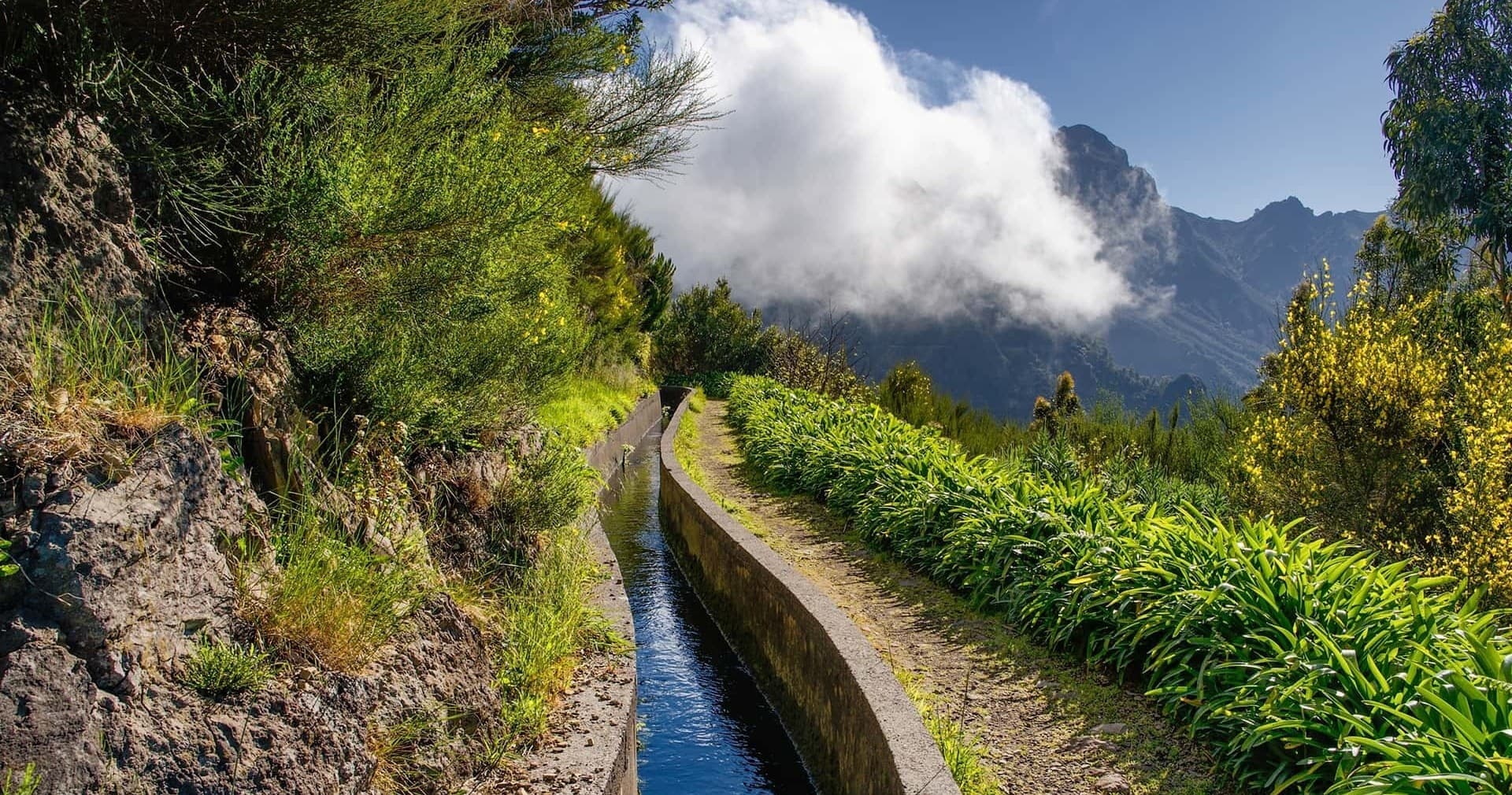 Hiking the Levada do Norte with Madeira Happy Tours in Funchal