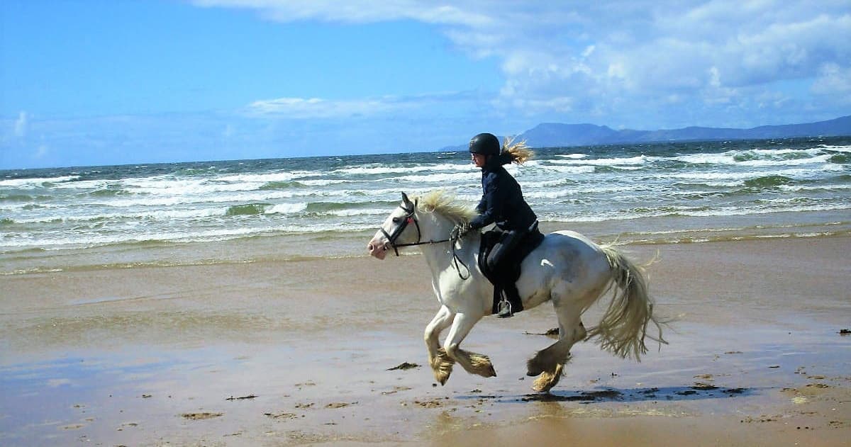 Solo rider galloping on wet sandy beach under blue sky