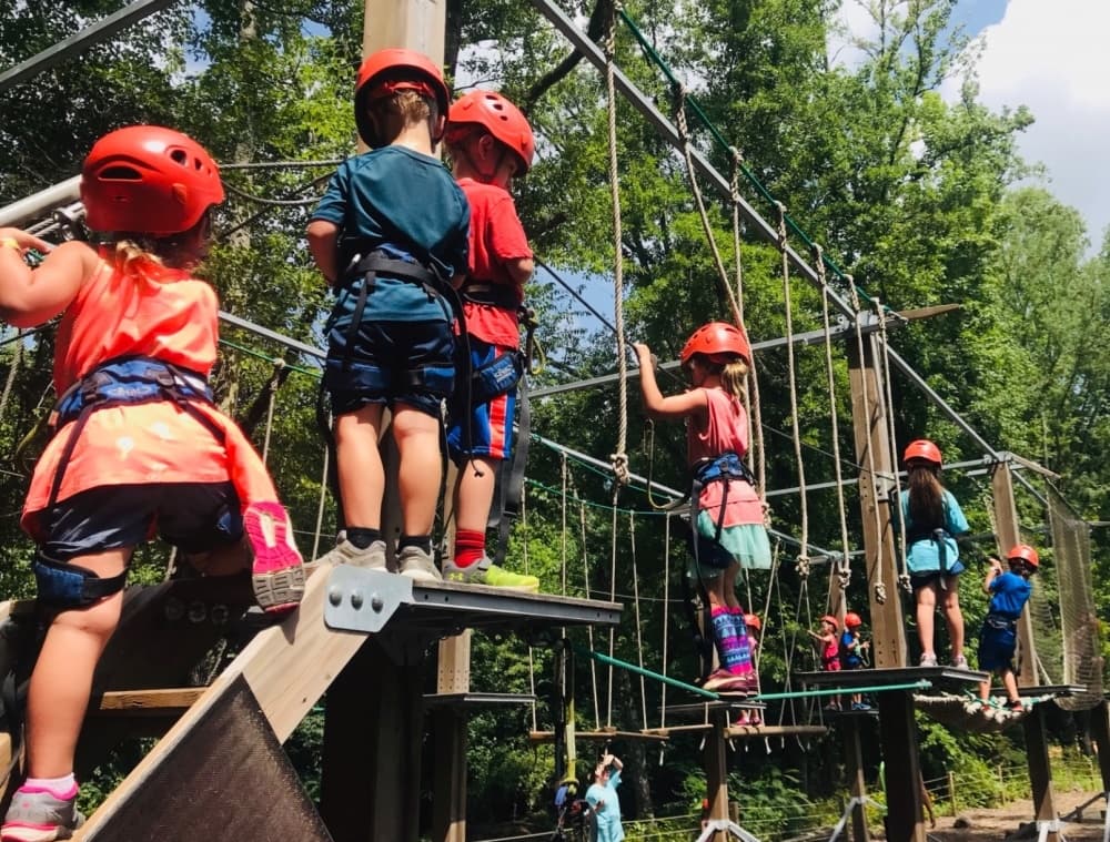 Wildlife & Family Fun with Old Mountain Outdoor Adventures