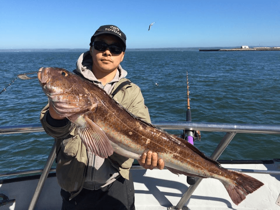 Fisher holding lingcod on open ocean from charter boat