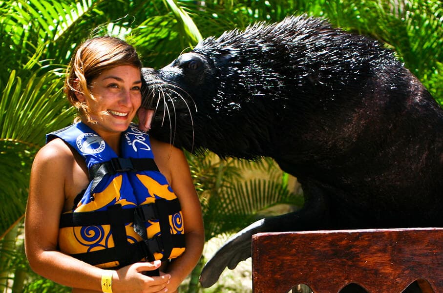 Wildlife & Marine Adventure: Sea Lion Discovery in Puerto Vallarta
