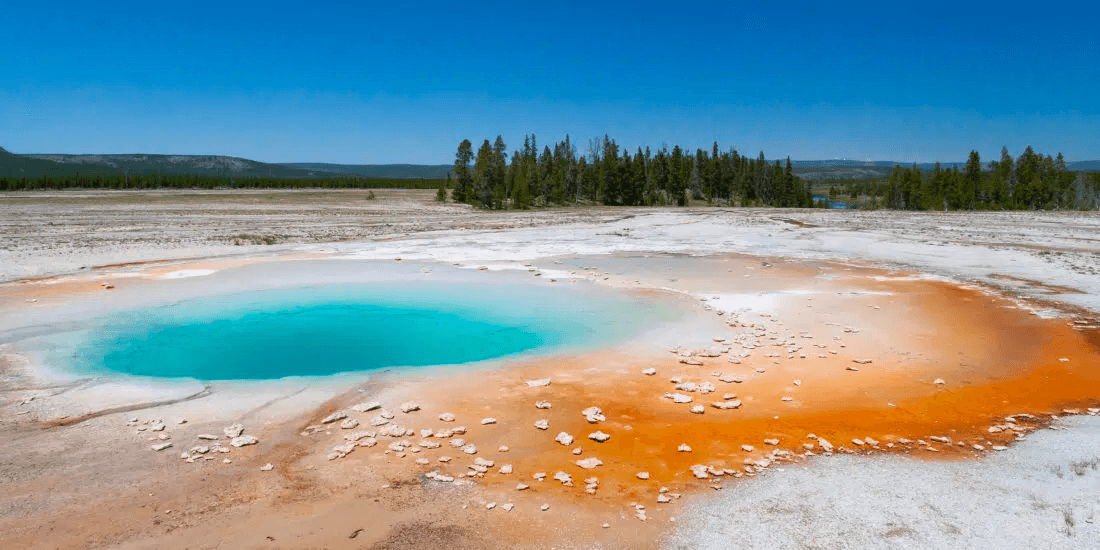 Yellowstone & Grand Teton Private Safari with Yellowstone Safari Company