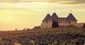 Capture Stunning Photos at Chateau Elan Winery and Resort in Braselton, Georgia