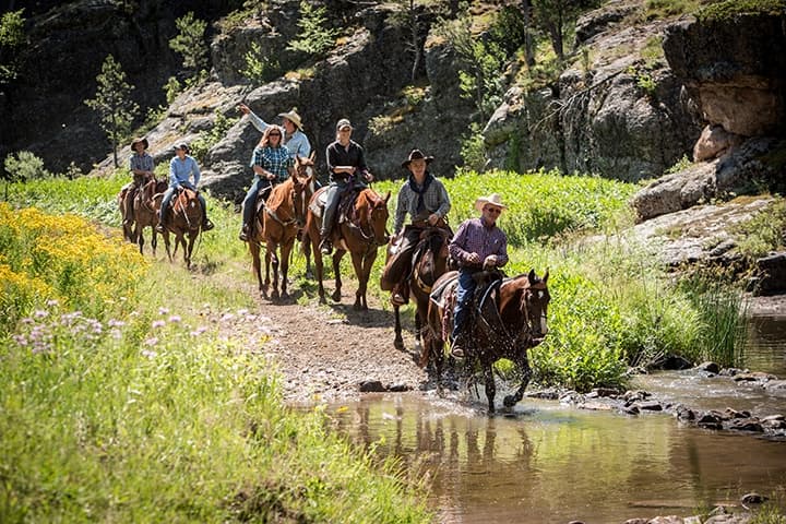 2-Hour Trail Ride Adventure in Custer, South Dakota