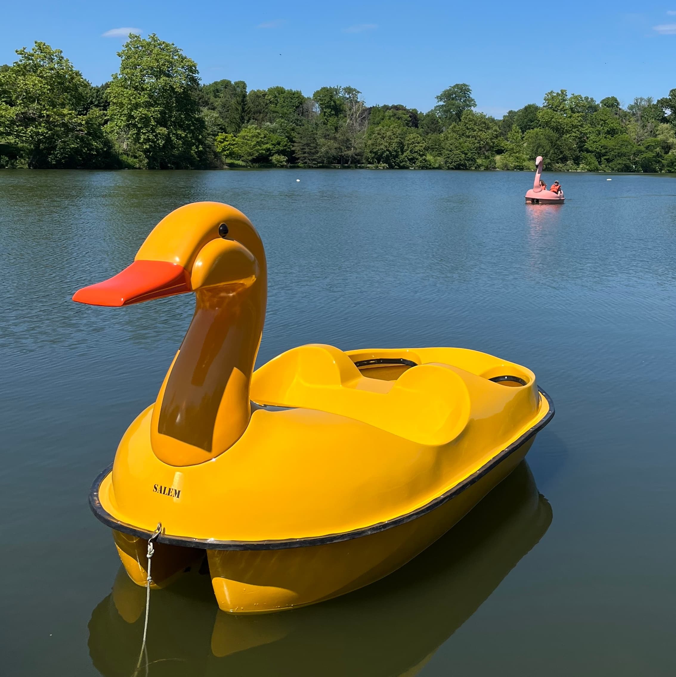 Water Activities & Salem the Duck at Buffalo Maritime Center