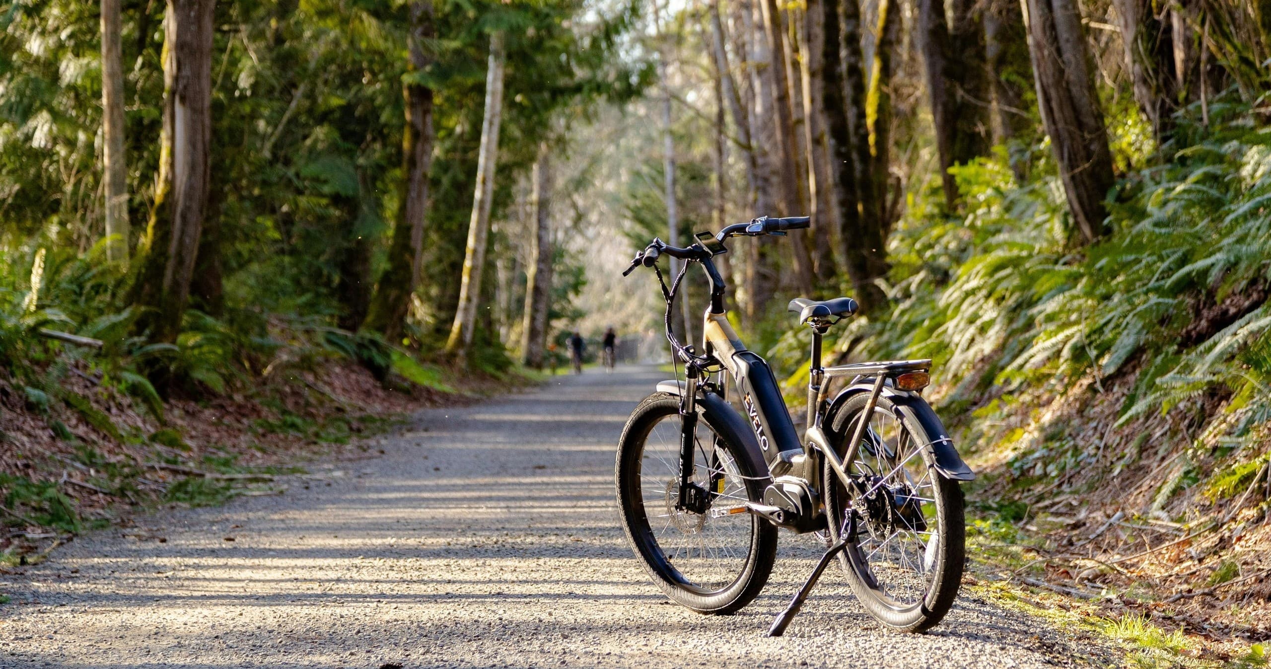 E-bike parked on sunlit forest trail for scenic bike rides