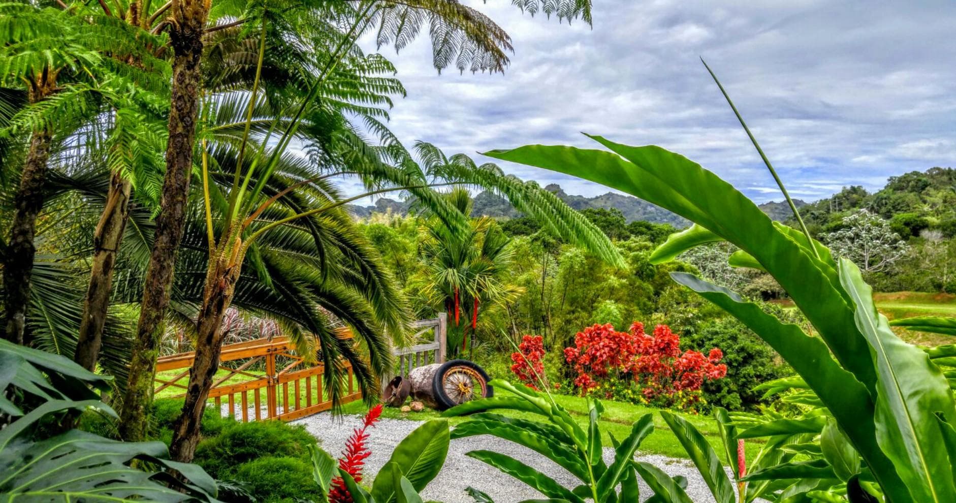 Discover Hacienda Horizonte Farm Tour in Utuado, Puerto Rico
