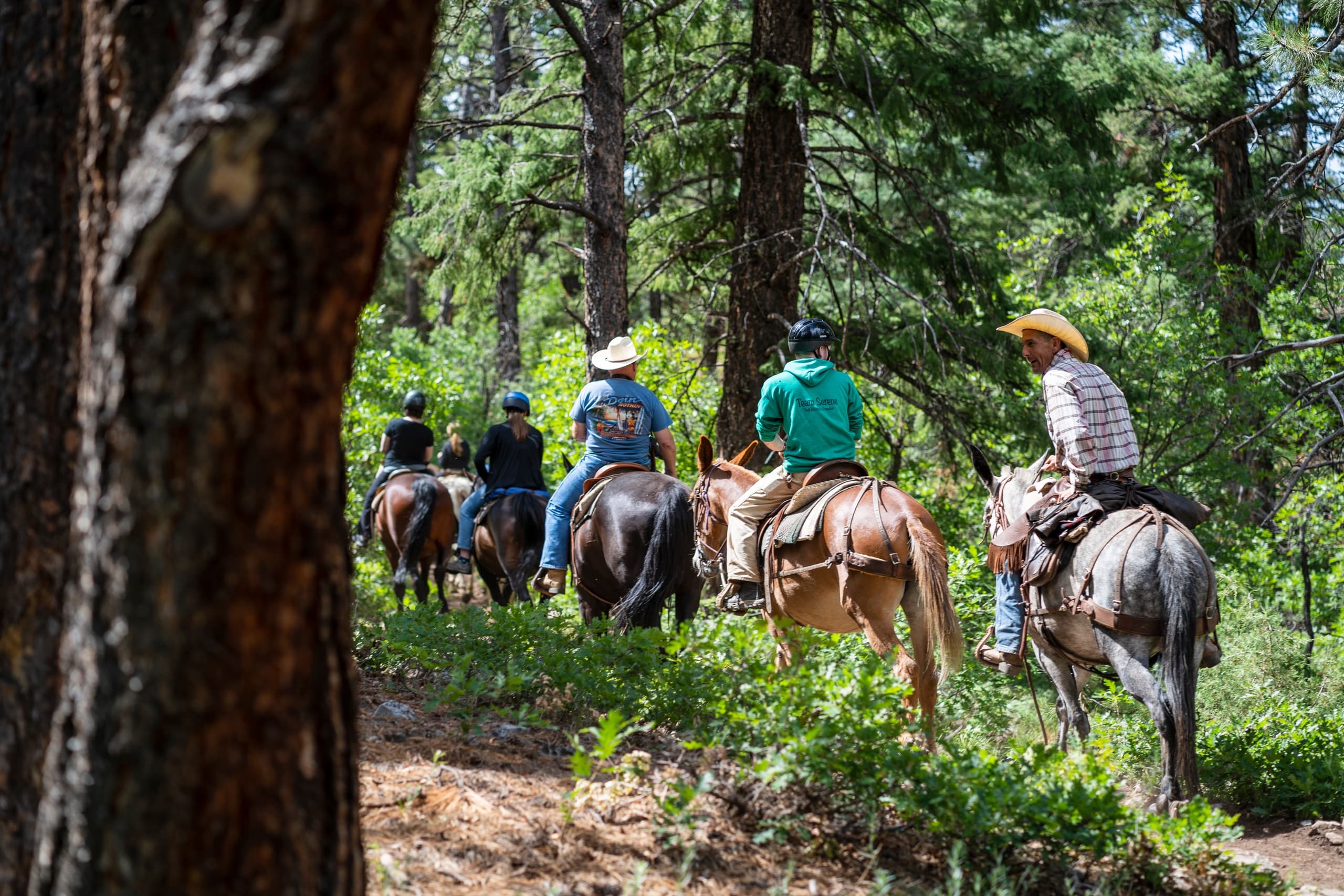 Miners Trace Ride: Durango’s Premier Equestrian Adventure