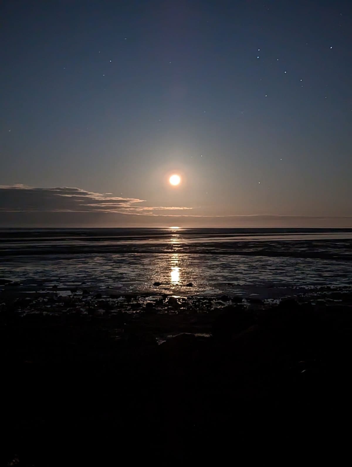 Staircase to the Moon Tour & Mangrove Adventure in Broome