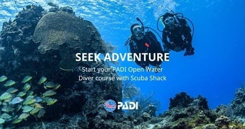 Learn to Scuba in Newington: PADI Open Water Diver Pool Course