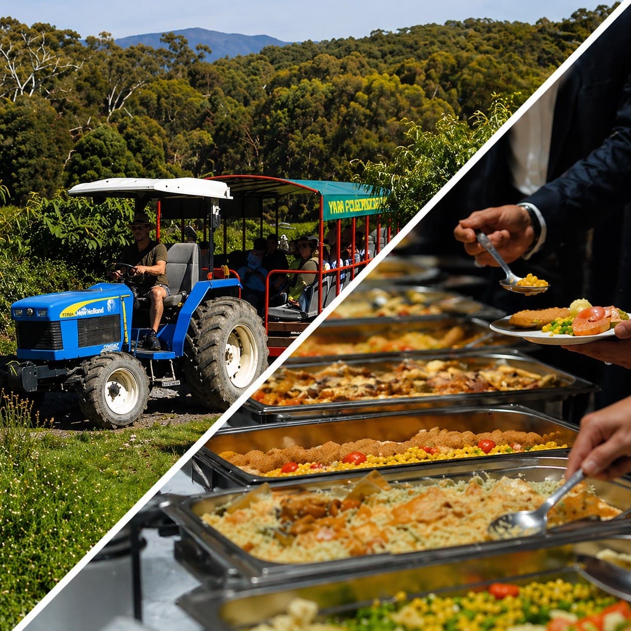 Buffet Lunch & Tractor Tour at Rayner’s Orchard: U-Pick Fruit Experience in Woori Yallock