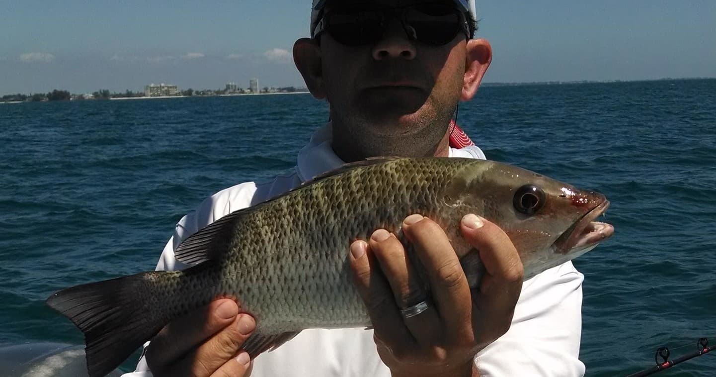 Inshore Fishing with SiestaKation in Sarasota