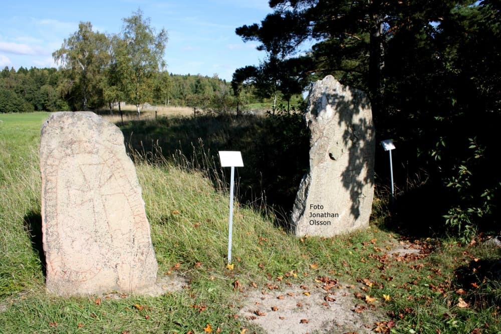 Viking Heritage Tour with Sweden History Tours near Stockholm
