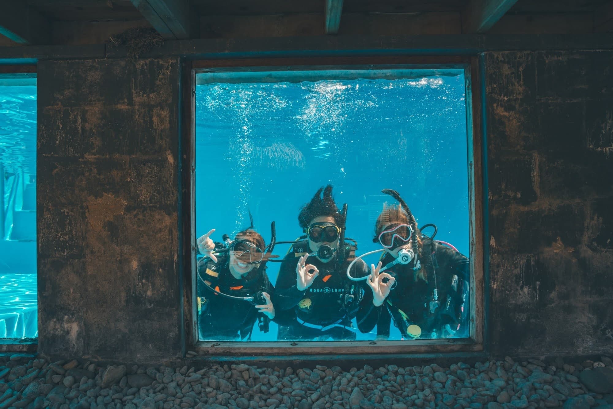 Junior Open Water Course at Poor Knights Islands — PADI Certification for 10–11-Year-Olds